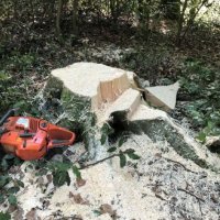 Chantiers forestiers en Hauts-de-France : Alerte accidents !