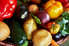Solidarités alimentaires : la Dreets mobilisée pour une action coordonnée en Hauts-de-France