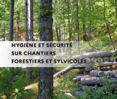 Hygiène et sécurité sur chantiers forestiers et sylvicoles dans les Hauts-de-France