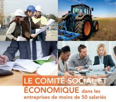 Le comité social et économique (CSE) dans les entreprises de moins de 50 salariés