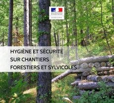 Hygiène et sécurité sur les chantiers forestiers et sylvicoles dans les Hauts-de-France